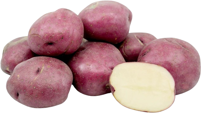 Potato Red Pak 98125