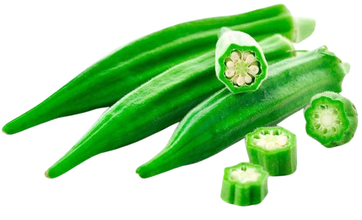 [Okr] Okra (Bhindi) Pak 98117